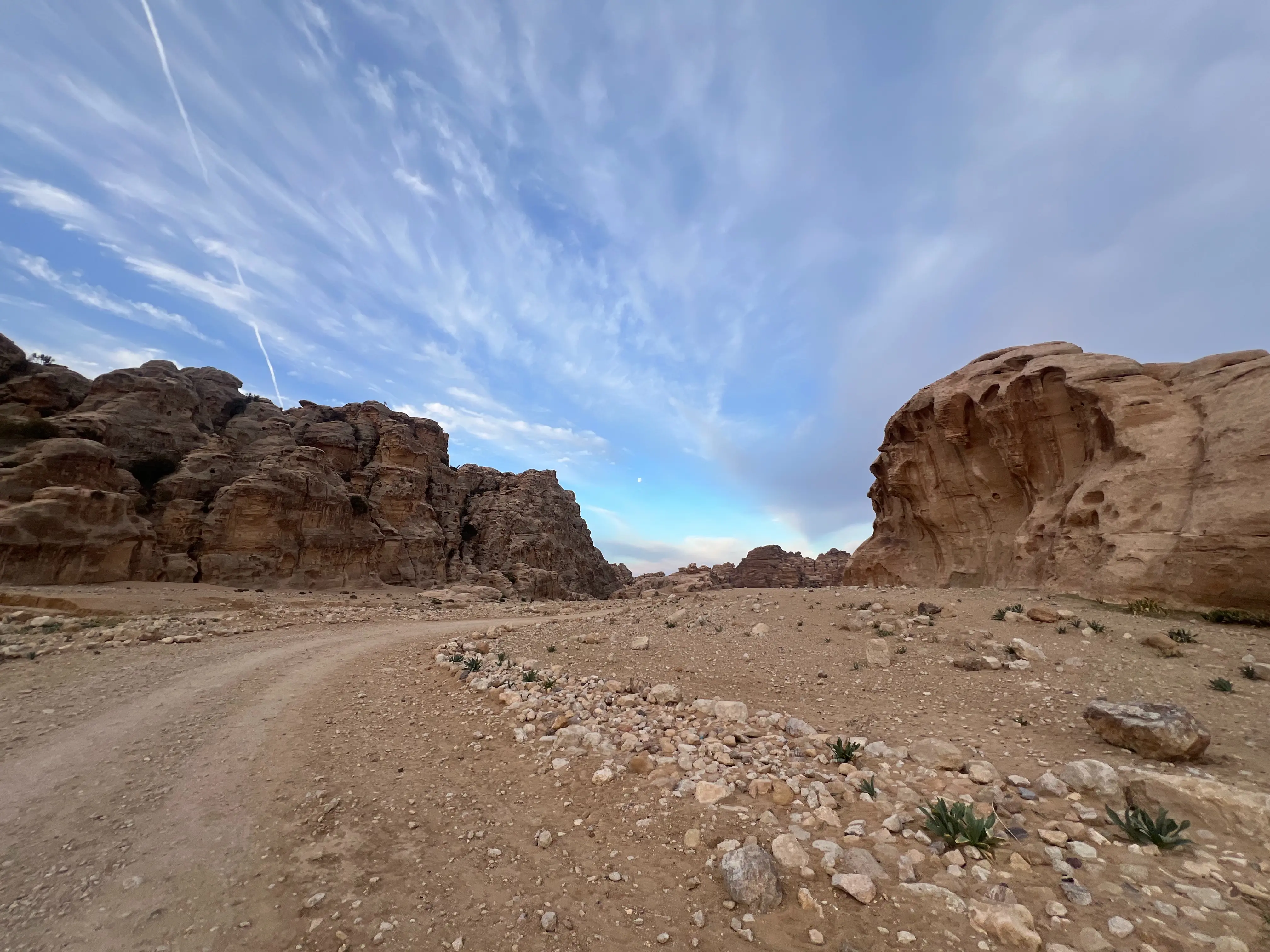 A peaceful desert walk